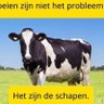 Hans Holland 🇳🇱 profil fotoğrafı