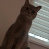 Niuki 的头像