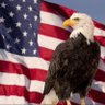 BALD EAGLE 的头像