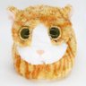 Cheese Cat profil fotoğrafı
