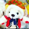 まめみ's profile picture