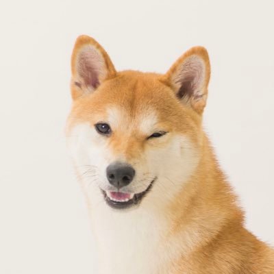 名犬もなかまる's profile picture
