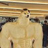 Profilbild von 请叫我伟锅
