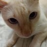 ลูกน้องยมบาล's profile picture