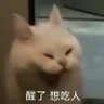 Фото профиля 小猪佩奇