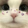 Profilbild von إِشراق .