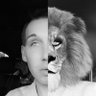 TJ's profile picture