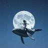 Фото профиля cryptoWhale威尔