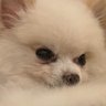 Profilbild von Miyoung
