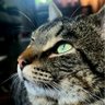 DaveAfterLibs profil fotoğrafı