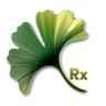 Ginkgo Active profil fotoğrafı