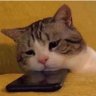 Profilbild von Penelope
