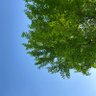 Фото профиля May