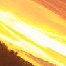 riderOfTheSun 的头像