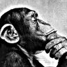 M0nk3y Bussin3s's profile picture