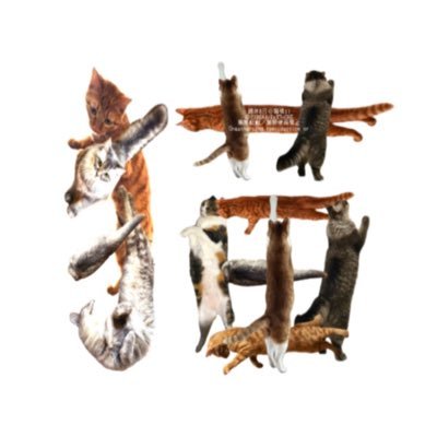 週休8日の猫吸い's profile picture