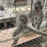 Фото профиля 森田もりもり