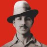 Vinay Malik 的头像