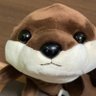しろくまパパ🦦's profile picture
