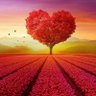 Suraj Saroj's profile picture