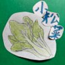小松菜🥬nextひとらじ♡'s profile picture