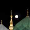 جبر الخواطر's profile picture