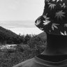 Gatere~๐'s profile picture