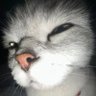 Profilbild von sunrises