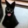 gofkurself's profile picture