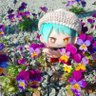 えりぽよハラヘリマン profil fotoğrafı