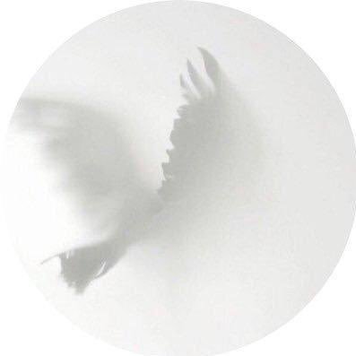 alsalwah_'s profile picture