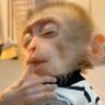 2Pac_'s profile picture