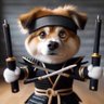 GemDigger/Ninja🥷 profil fotoğrafı