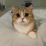 Profilbild von Sophiee