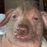 Profilbild von Magicat69