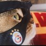 Delisaraylı's profile picture