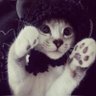 kiki's profile picture