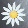 Claire 🎗️'s profile picture
