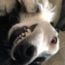 DisGrace's profile picture