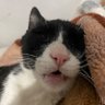 Profilbild von figaro