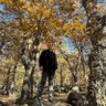 Mehmet Özkul's profile picture