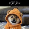 Fake Arrow CS (💙,🧡) 🐕 (✸,✸) 🦣's profile picture