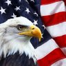 KatFreedom🍊🇺🇲✝️'s profile picture
