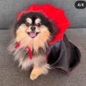 mama's profile picture
