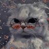 shinzo's profile picture