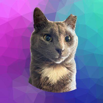 Diamond The Cat Coin's profile picture