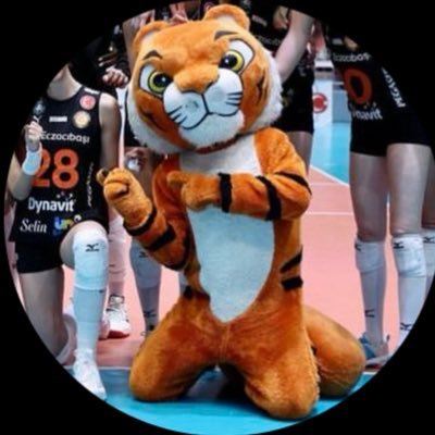 yagız's profile picture
