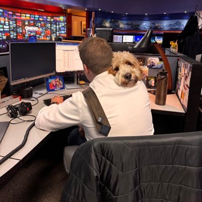 Marc Sallinger's profile picture