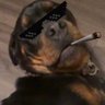 K-Dogg profil fotoğrafı