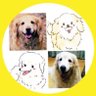 とーこ。's profile picture